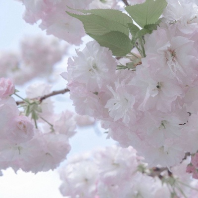 Furry绘画构图指南Furry群